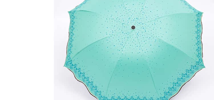 爆款冰雪奇缘浪牙荷叶伞 晴雨伞 阿波罗太阳伞 防紫外线遮阳伞