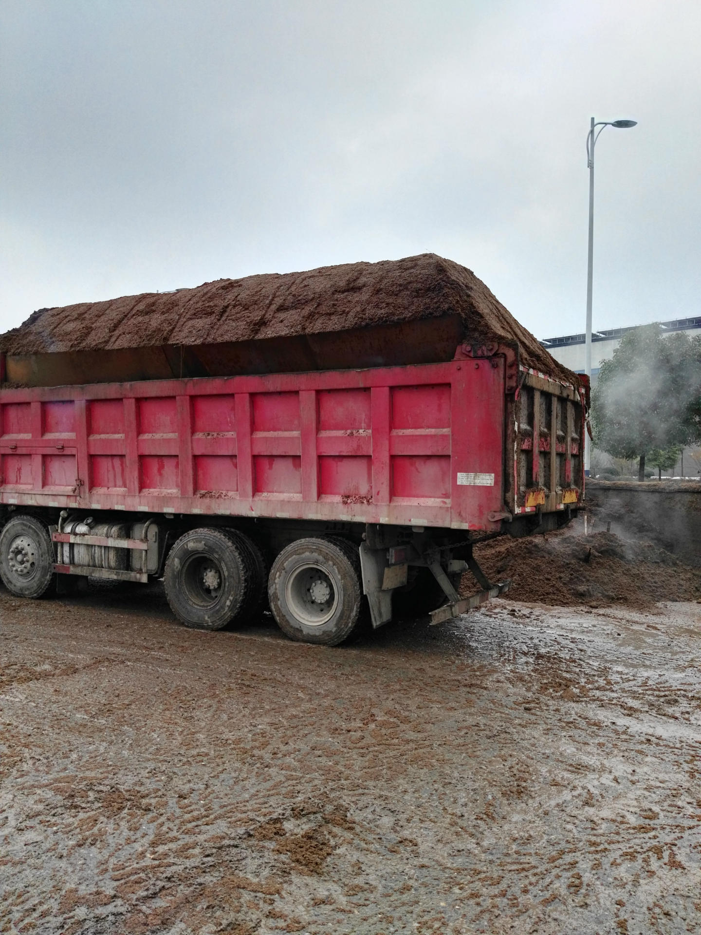 厂家白酒糟鲜酒糟