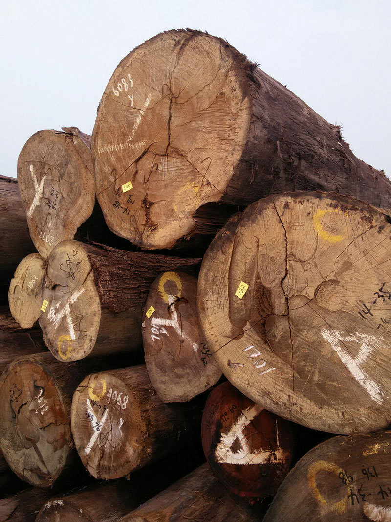 经销批发高硬度防腐柳桉 正宗优质耐久木材 高档环保家具板材