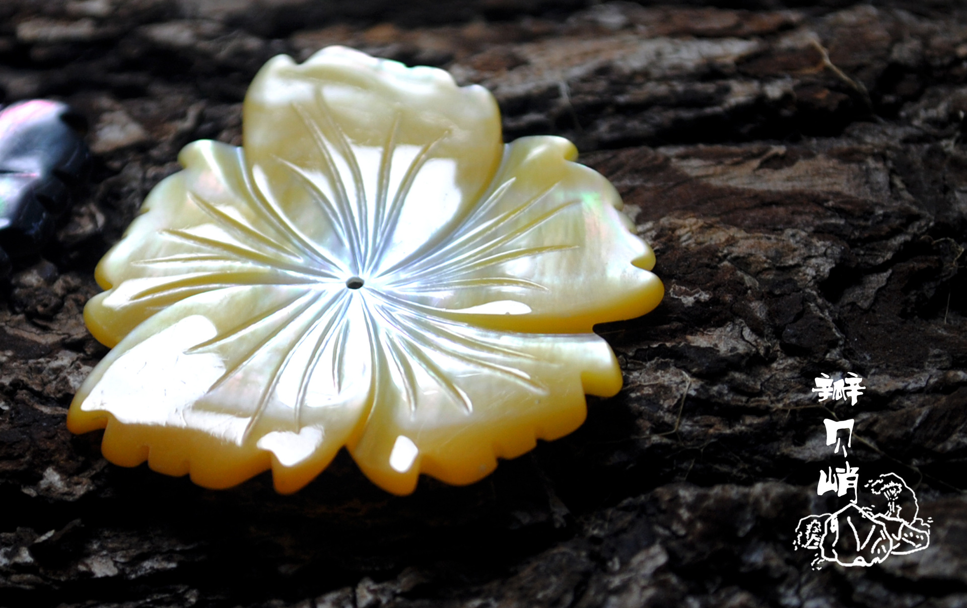 黑贝芙蓉花黄贝28--30随形自由型贝壳花diy材料饰品配件发簪发饰