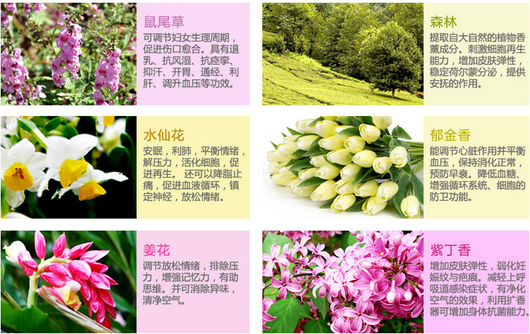 pajoma德国进口柠檬单方精油 增强免疫力 提振精神 净化空气精油