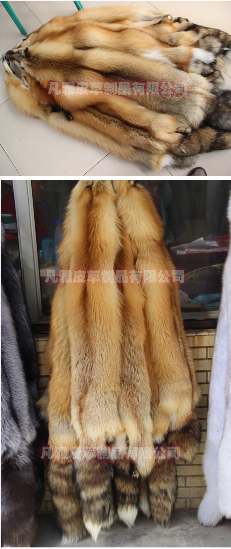 河北大营狐狸皮凡雅皮草现货供应定做批发整皮红狐狸皮可染色定做