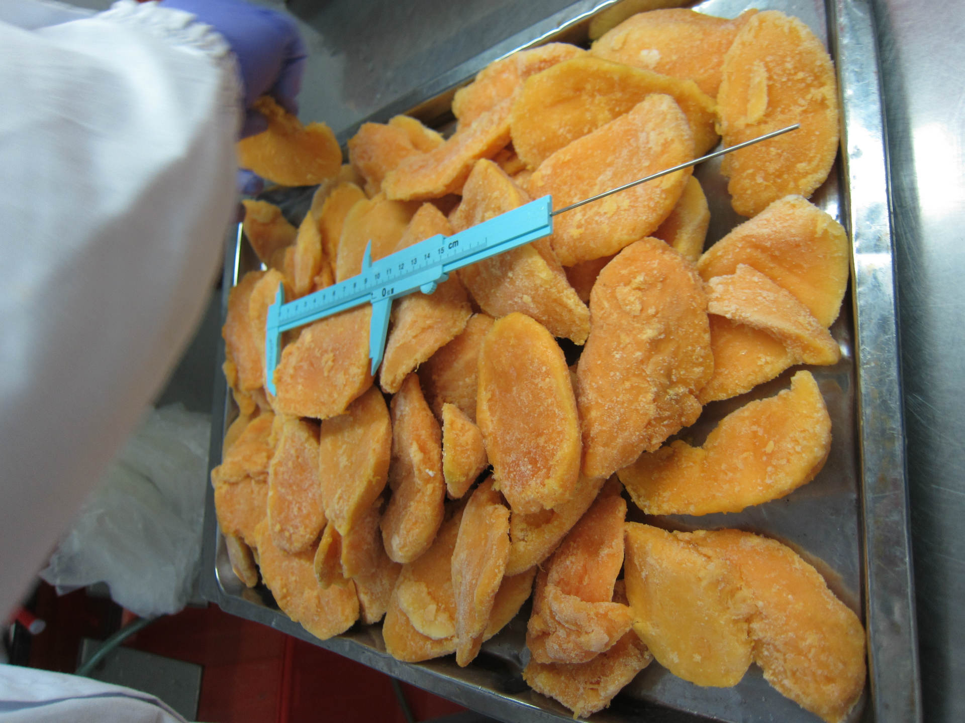 马蹄丁速冻马蹄丁冷冻食品速冻食品冷冻水果