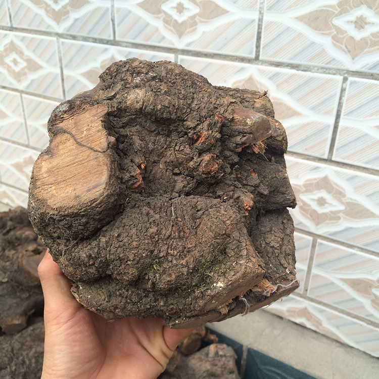 麻梨疙瘩毛料干料满花手串荆疙瘩火琉璃崖柏