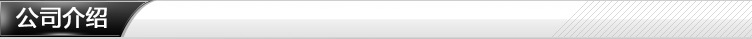 公司介绍