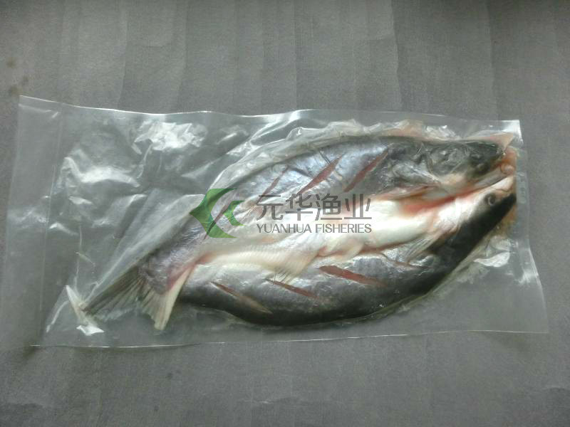 巴沙鱼_烤鱼\/巴沙湄公鱼\/开背芒鱼\/腌制湄公鱼