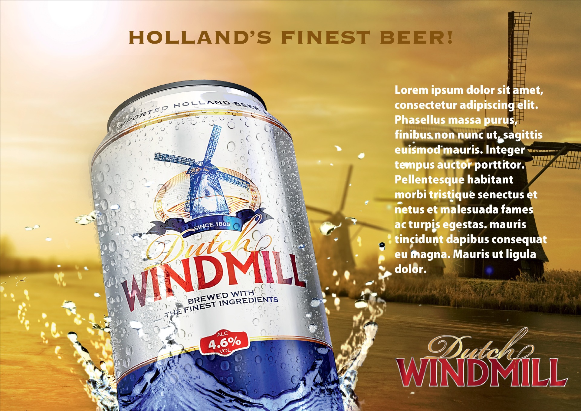 热销啤酒 荷兰进口高档啤酒 风车罐装啤酒 荷兰风车啤酒批发