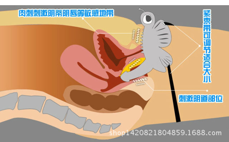 代发无线遥控蝴蝶 36频穿戴蝴蝶 女用自慰器具震动阳具 成人用品