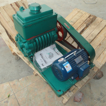 专业供应精密电动水环真空泵2x15优质高强度真空泵