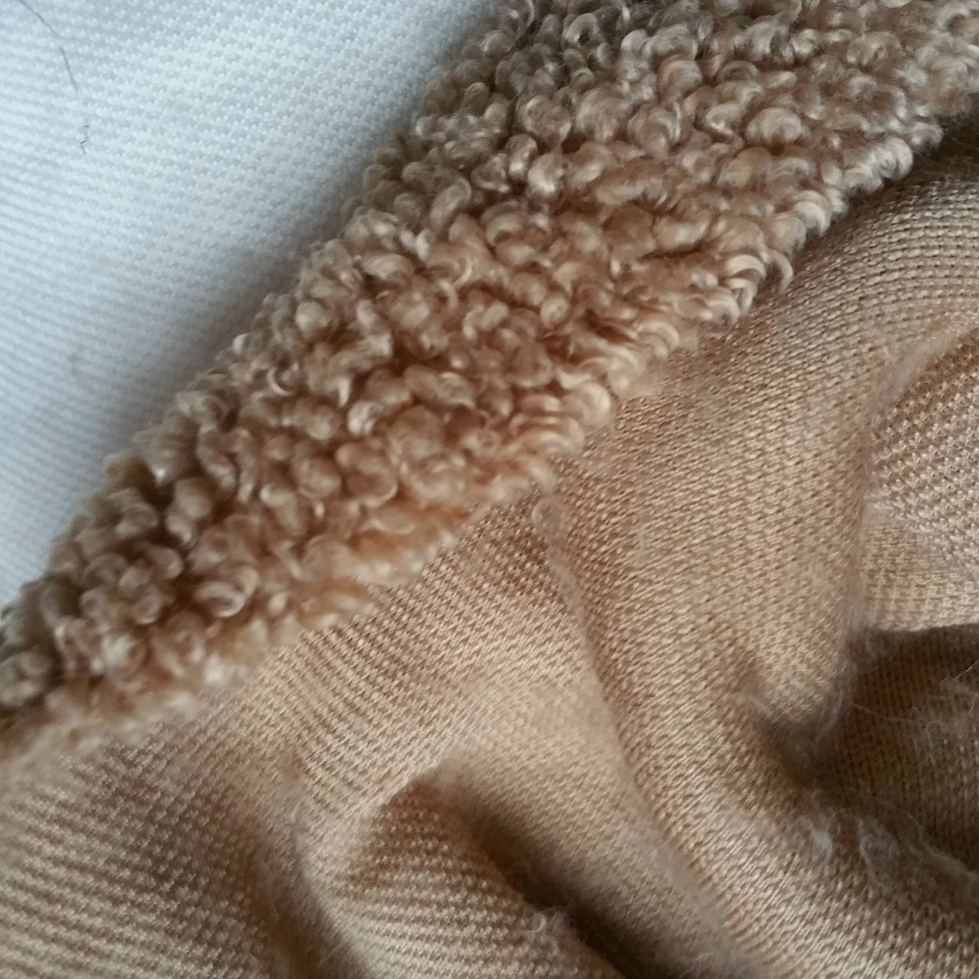 蚂蚁布 全涤绵羊绒布 700克 棕色 米白色 泰迪绒面料 - 布艺批发交易