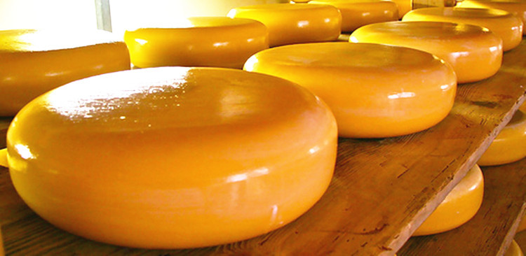 4kg 荷兰进口奶酪 红波黄波奶酪 - 供应信息 - 北京新发地市场