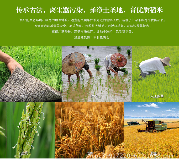 供应 新米五常大米稻花香生态**更健康-矿泉水交易网