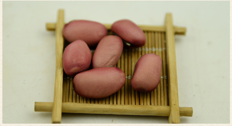 红*豆即魔豆中药材益肾补元气 利肠胃止呕吐