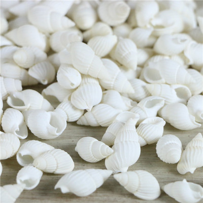 批发 白米螺1元100颗小白螺鱼缸造景diy地中海风格微景观饰品材料