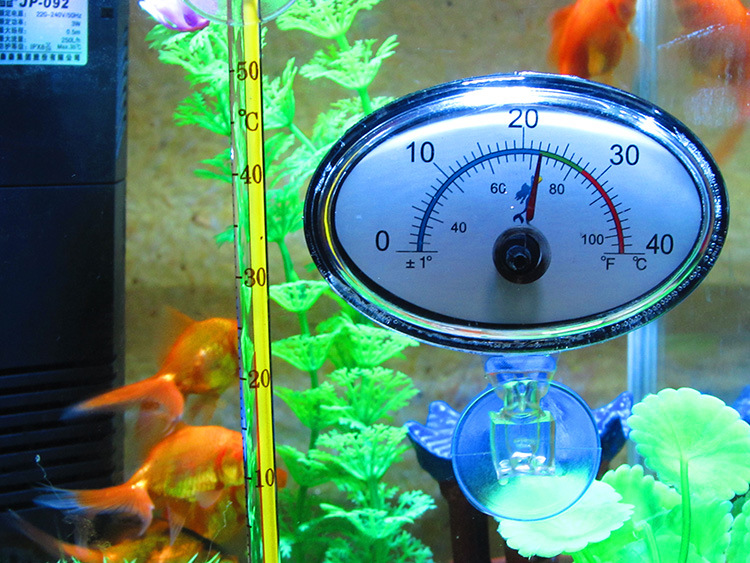 鱼美指针式鱼缸水温计 龟缸温度计 潜水吸盘式温度计 精准 特价