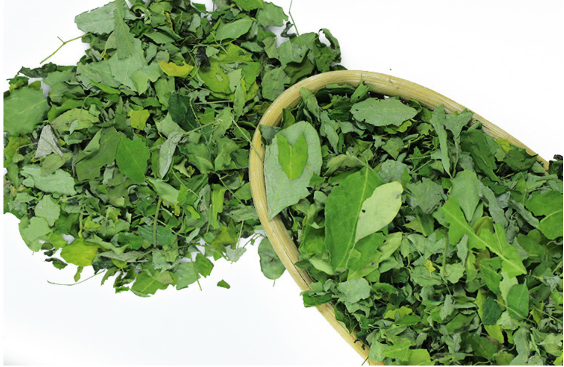 辣木叶_现货批发 野生辣木叶 无杂质无农药辣木籽叶