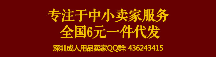 成人用品群