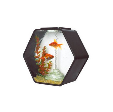 QQ图片20151204101830