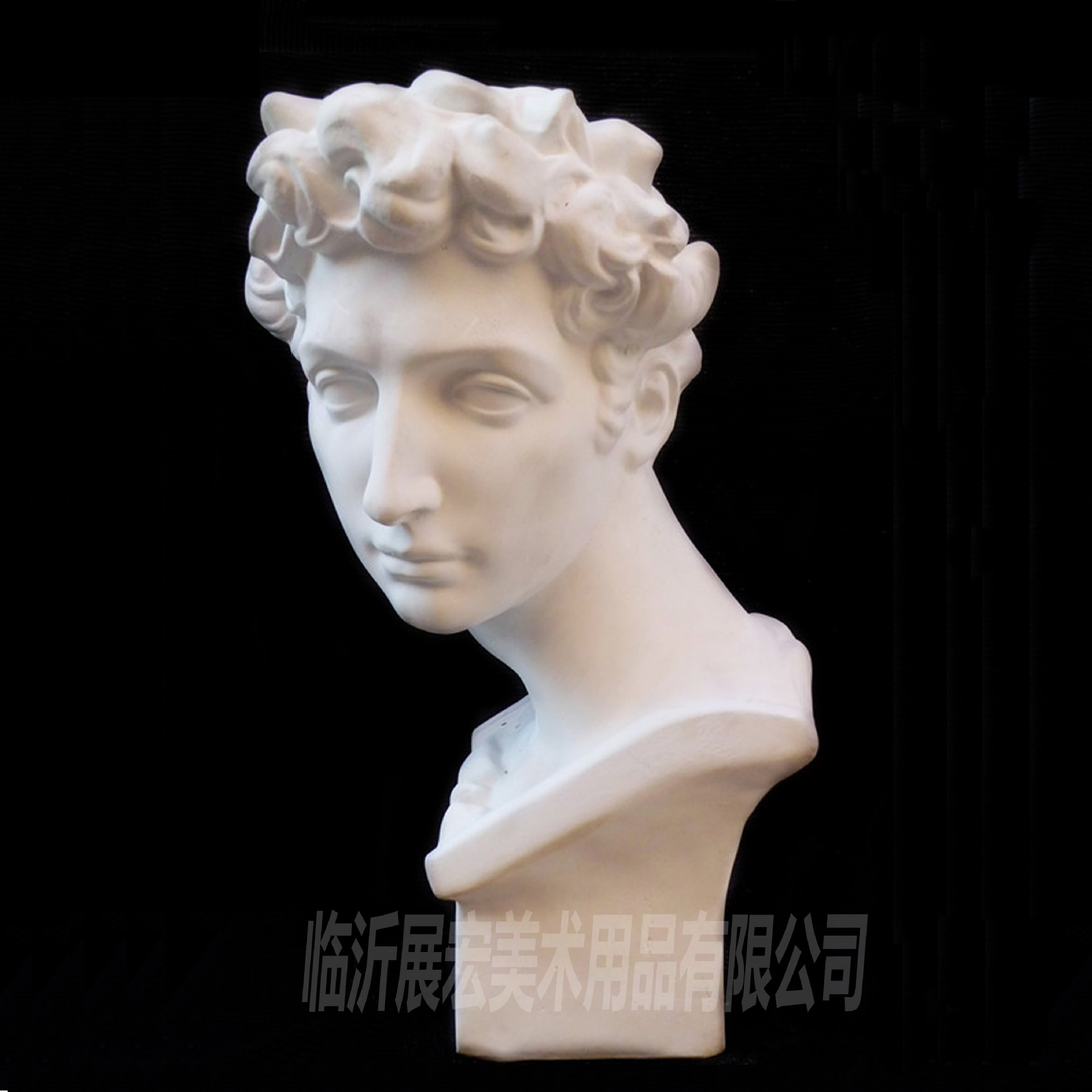 石膏头像 小卫 写生教具 石膏像