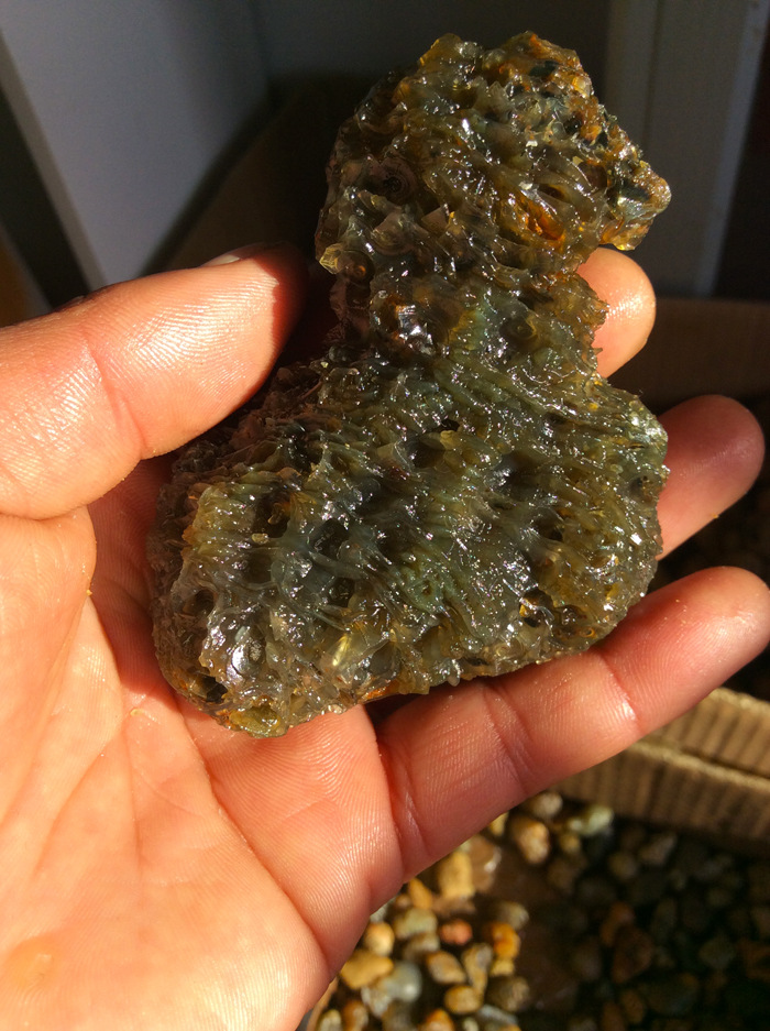 黑山玛瑙 新疆葡萄干玛瑙 经脉玛瑙 原石 手把件 吊坠 精品收藏