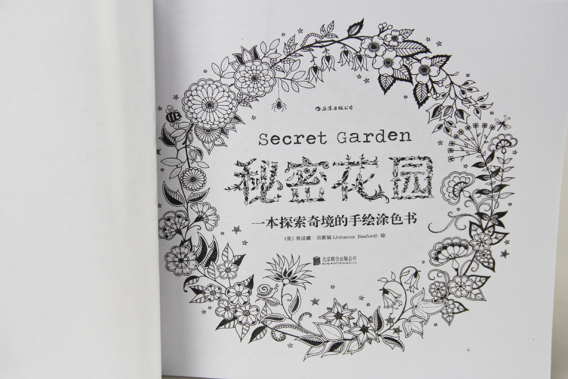 英文版秘密花园儿童减压手绘填色涂色书 魔法森林儿童画涂色本
