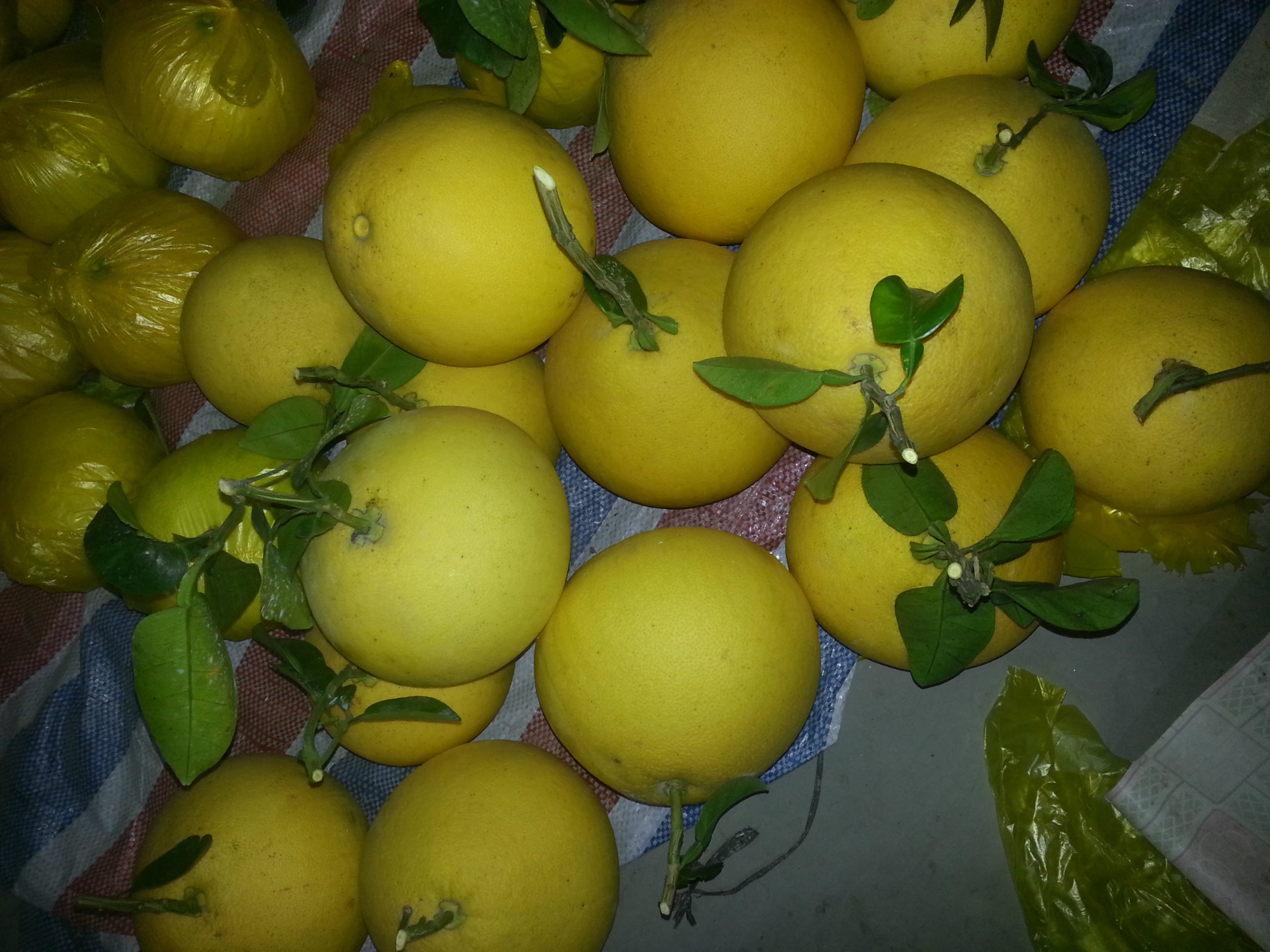 玉环文旦-被人忽视掉的精品水果