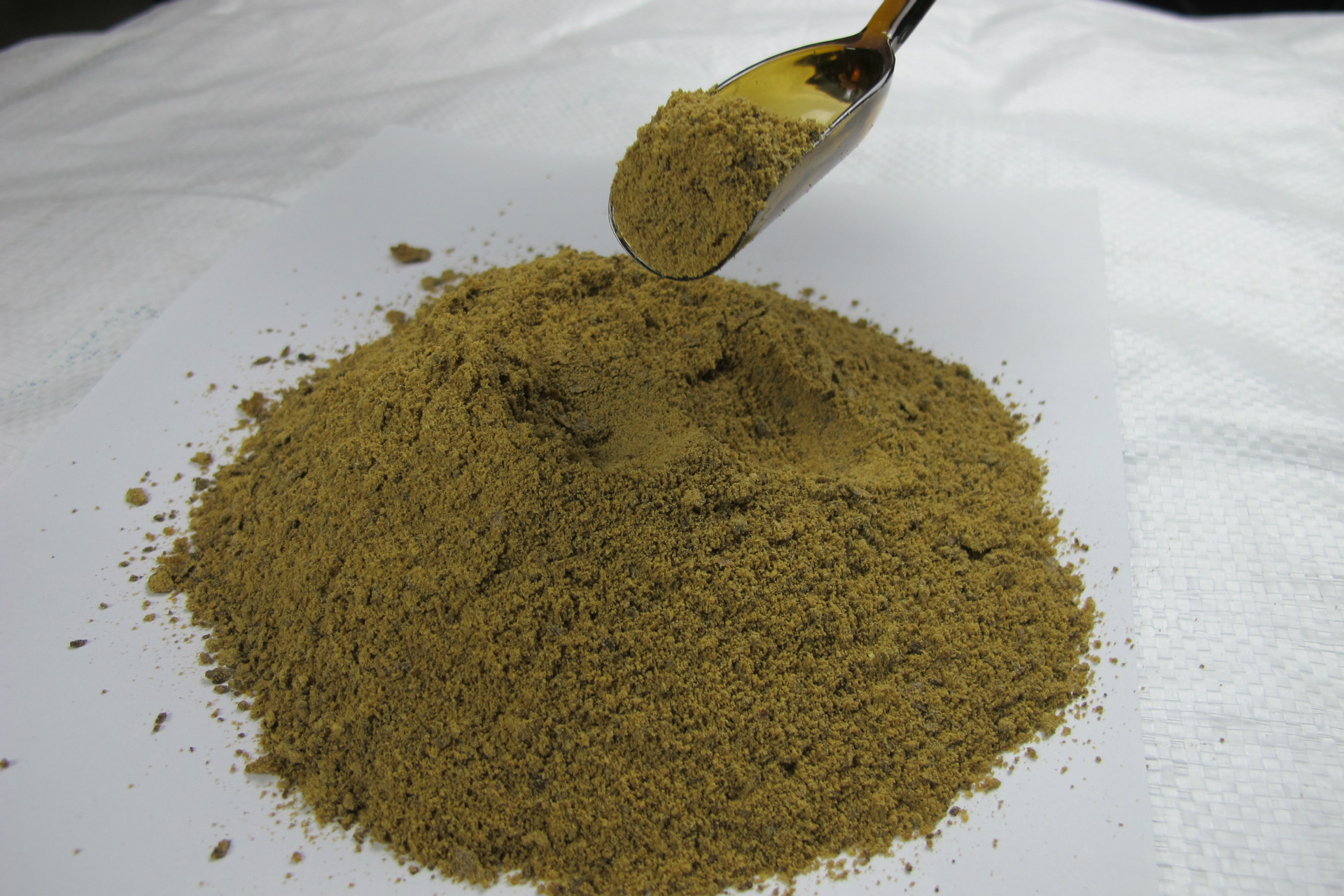 厂家直销 供应纯 蝇蛆粉 蛆粉 高蛋白 海参 蝇蛆养殖 批发采购