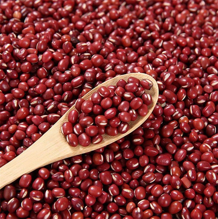 红豆 散装特级赤豆/红豆/红小豆 500g批发 五谷杂粮 小包装杂粮
