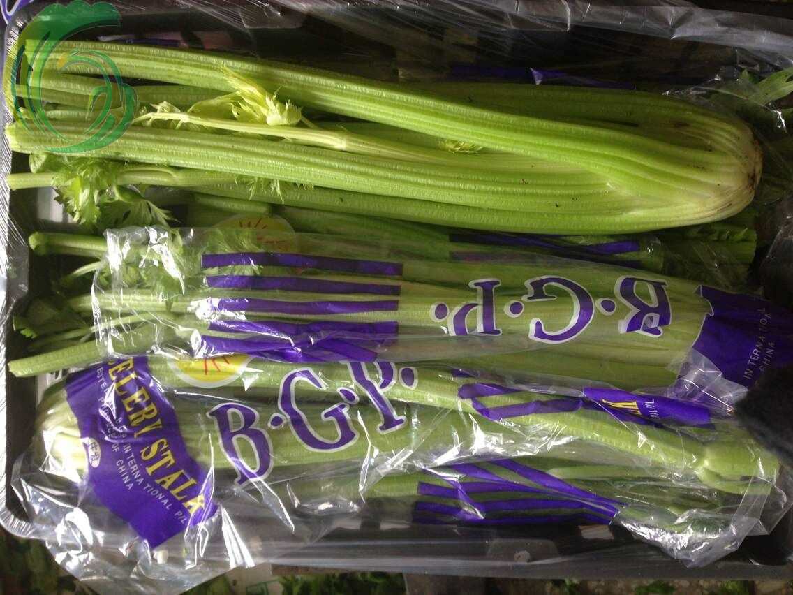 厂家批发出口保鲜蔬菜优质西芹/芹菜