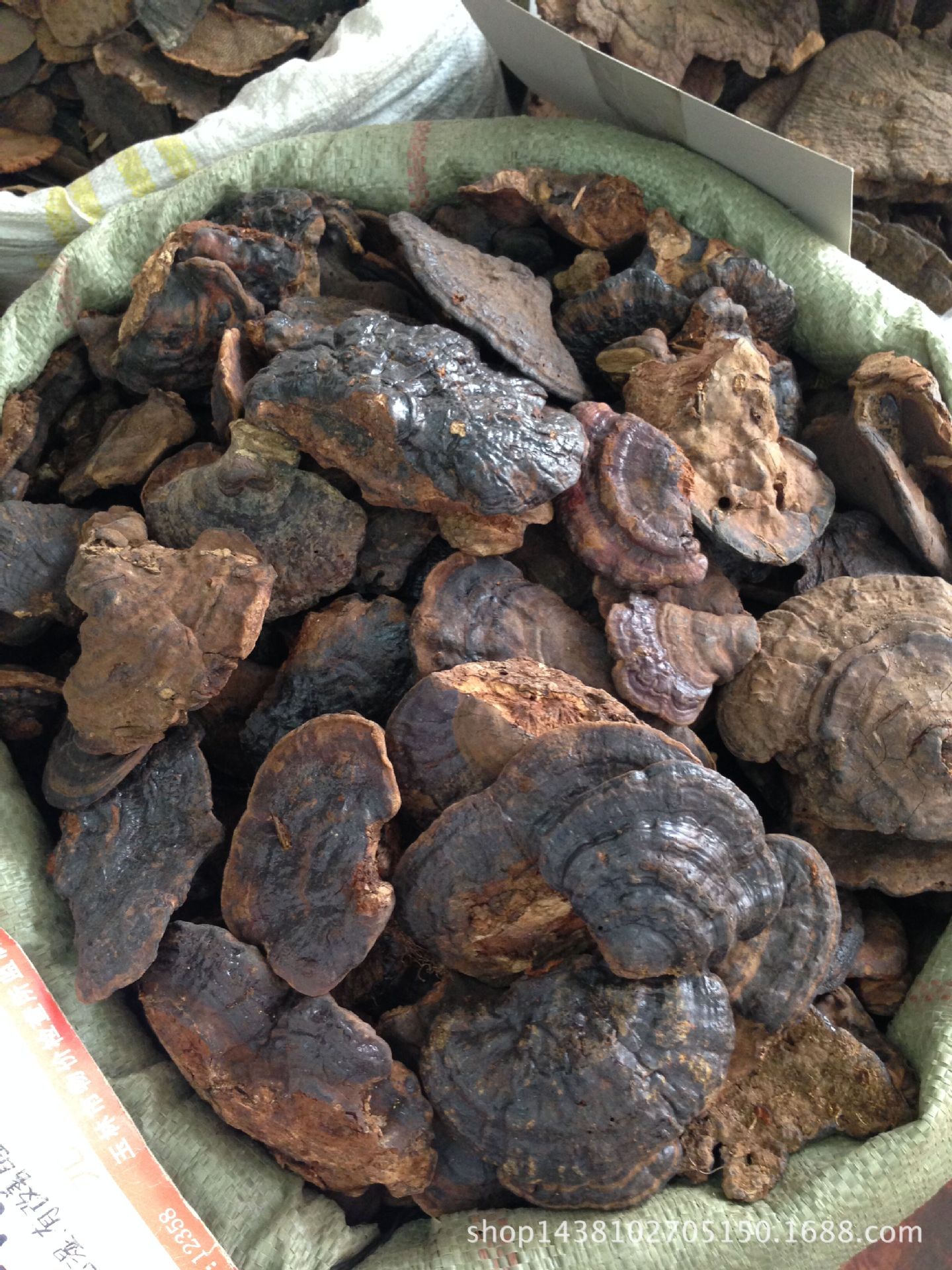 【一手货源】优质野生小紫芝 野生无柄紫灵芝 健*化湿改善睡.