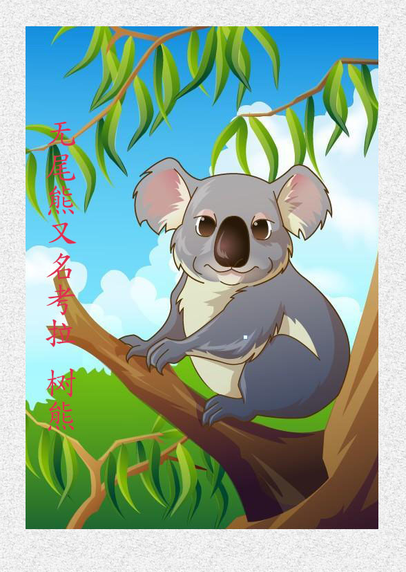 国宝毛绒玩具无尾熊 卡通考拉定制 热卖系列