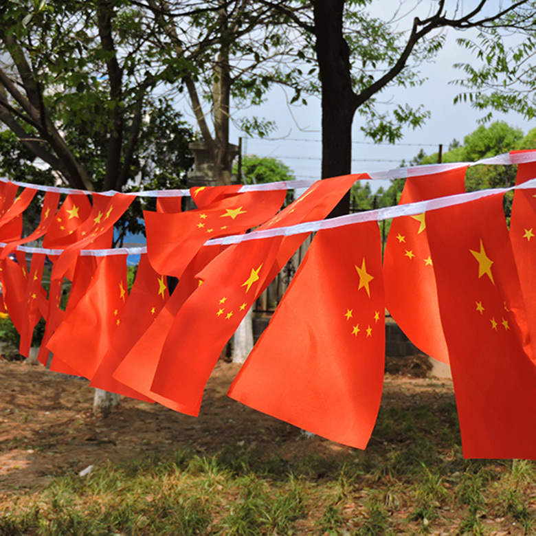 小国旗串旗五星红旗中国吊旗国庆礼品装饰挂旗批发8号7号