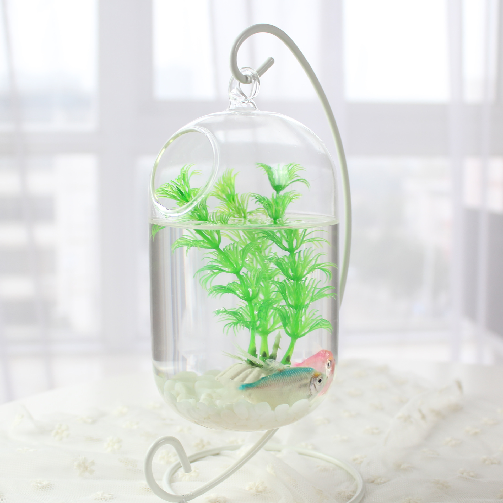 吊挂悬挂玻璃透明多肉植物鱼缸花瓶小玻璃鱼缸创意斗鱼缸迷你鱼缸