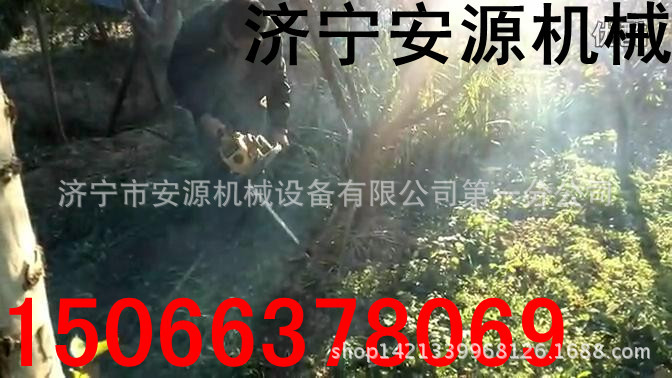 复件 (2) 汽油挖树机现场安源3_副本