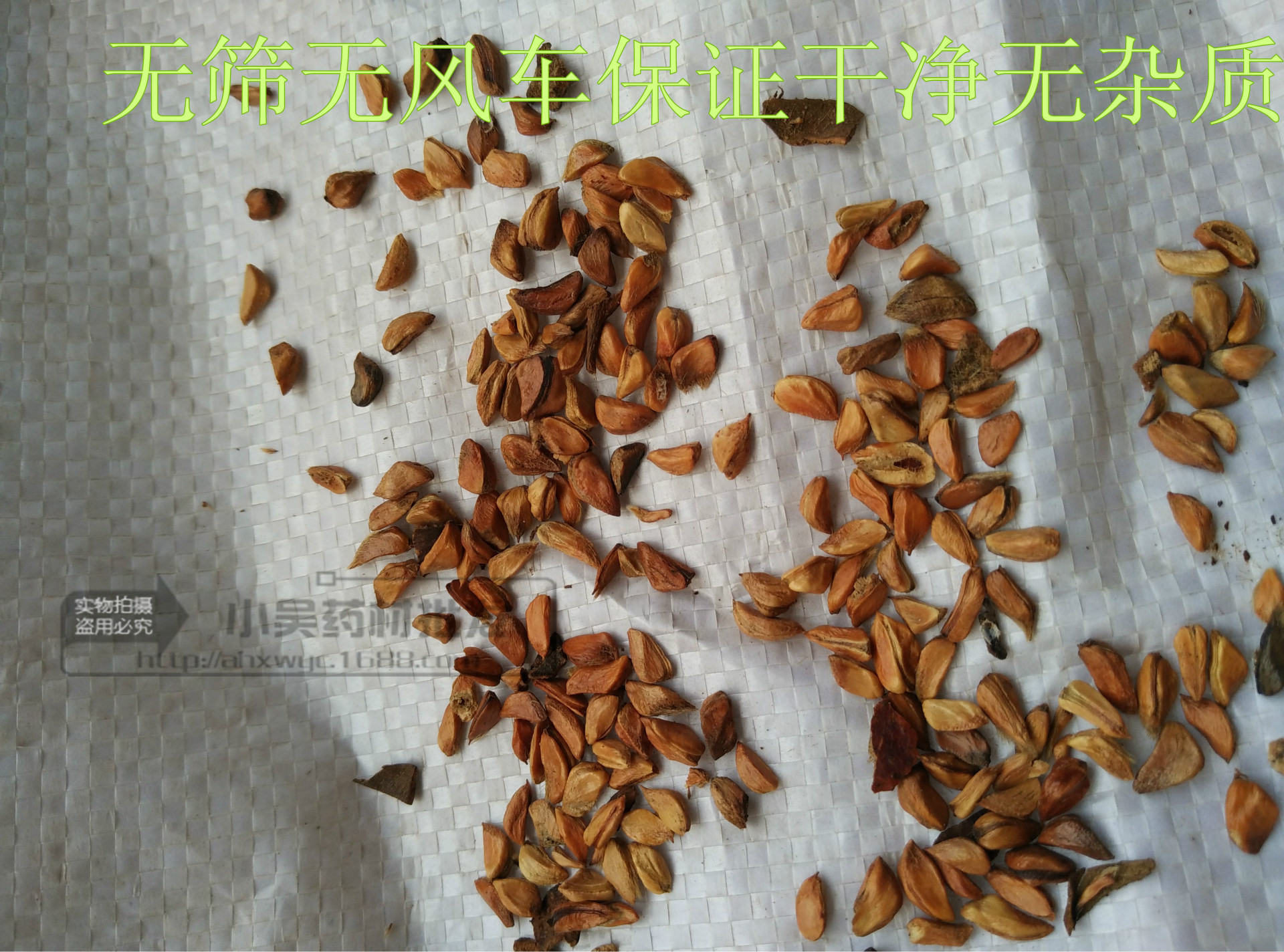 批发枕芯填充物坐垫填充物水洗金樱籽 干净无杂质 一手货源实图