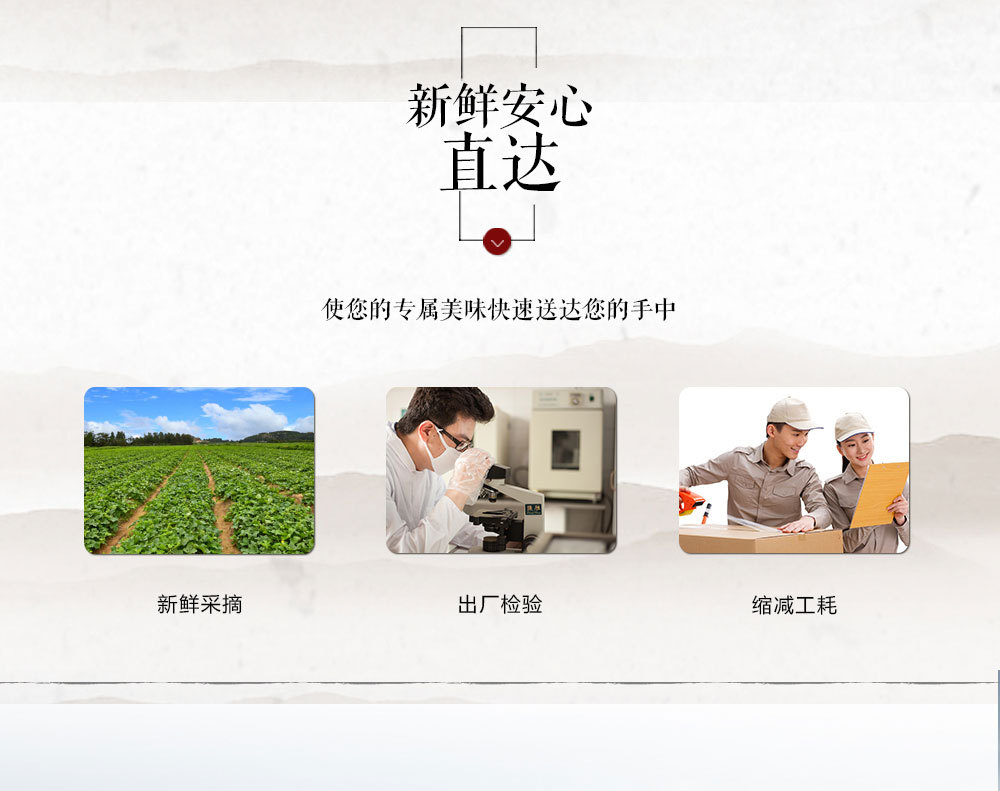 傅氏厂家散装休闲小吃特产炒货五香黑瓜子西瓜