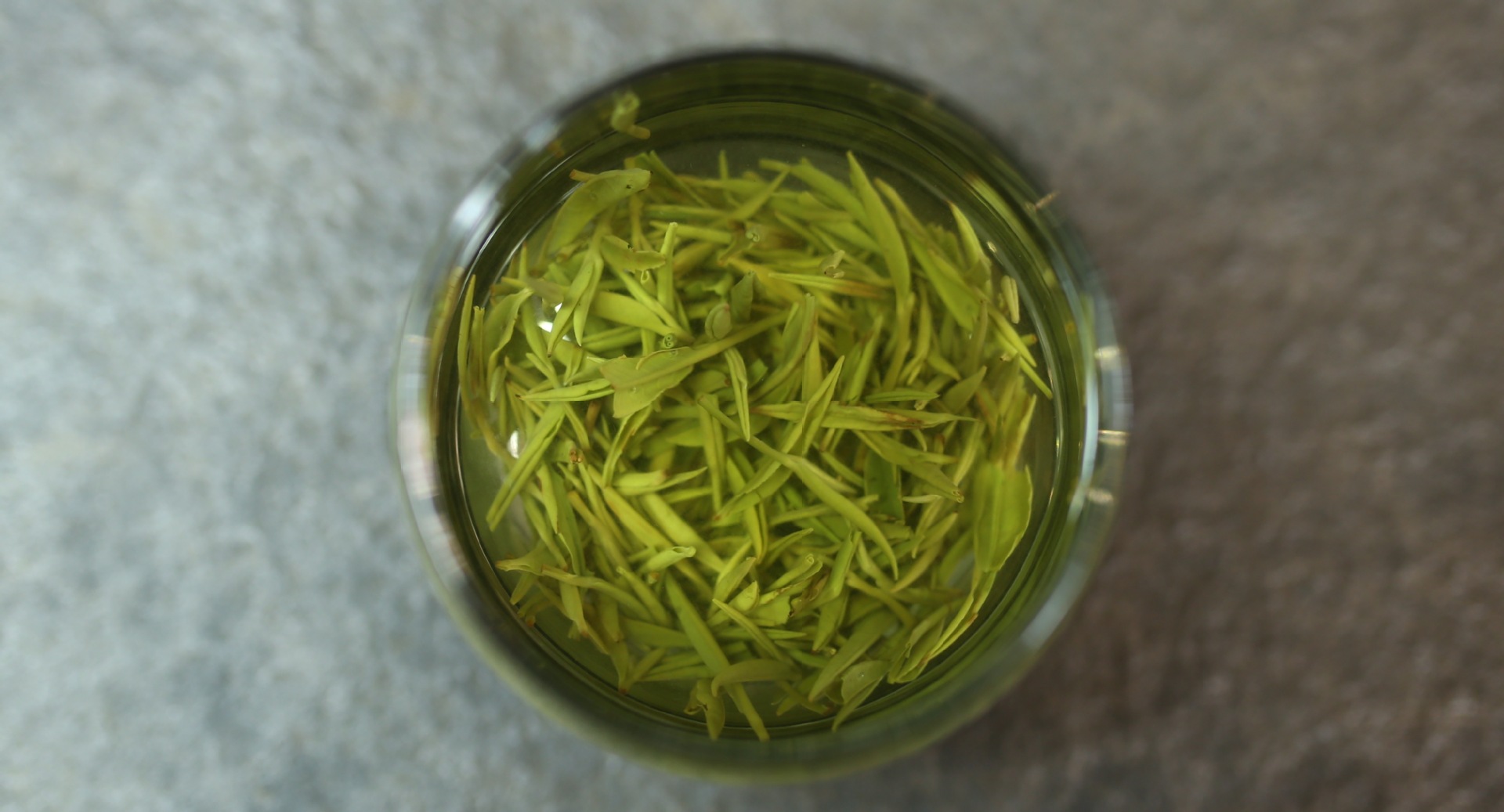 信阳毛尖 2016年仰天雪绿 细芽 汤色清亮明净 散装产地.