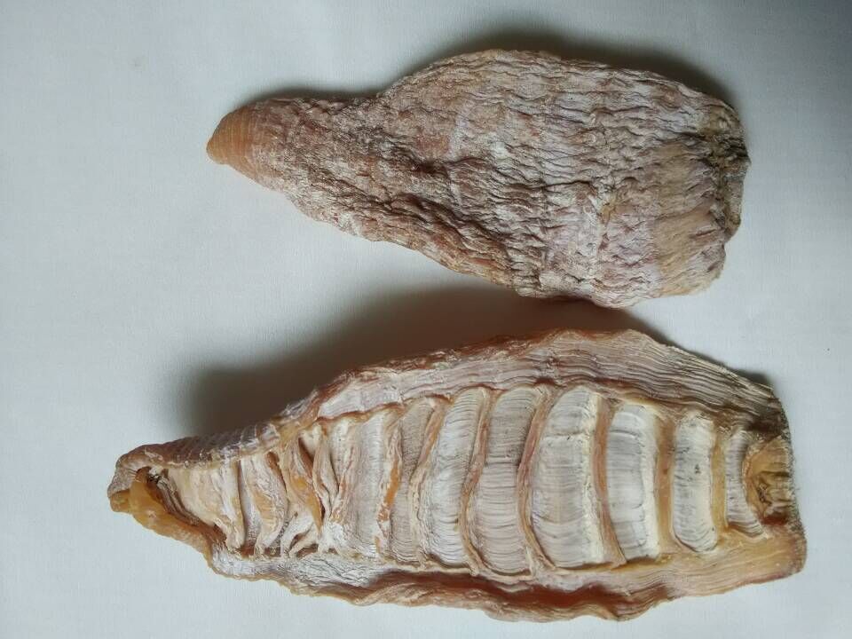 产地直销 湖南特产 笋干 玉兰片 纯天然绿色产品 量大从优