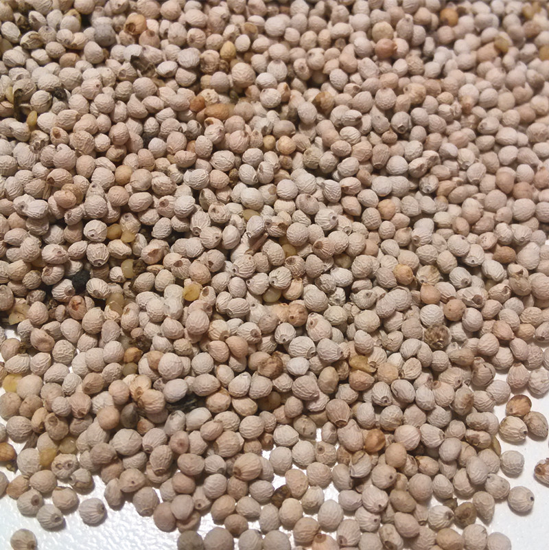 鸟食/鸟粮鹦鹉芙蓉鸟珍珠文鸟鸟食级白苏子苏籽