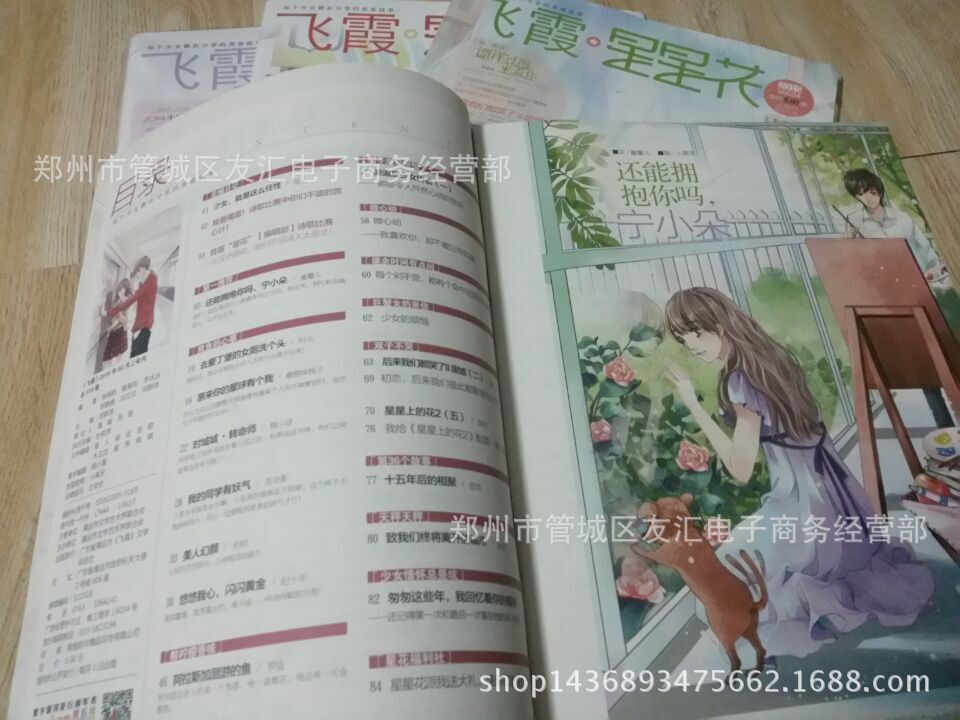 期刊、报纸-过刊飞霞星星花杂志多期\/青春文学