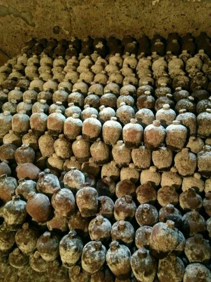 批发贵州白酒 茅台洞藏老酒酱香53度 陈酿老酒原浆酒收藏坛子酒