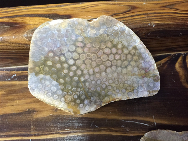 海南潭门 珊瑚玉化石菊花石 鱼缸摆件原石原料批发 按