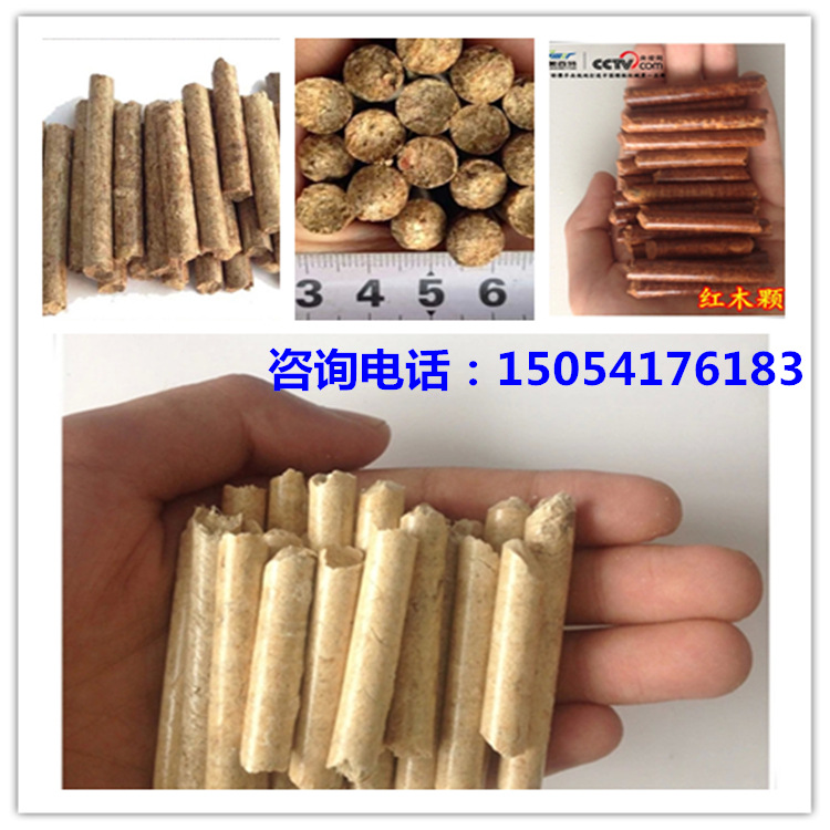 2665516777_2076028511.jpg_.web