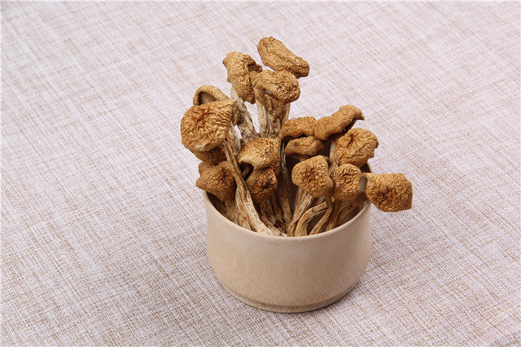 厂家直销批发食用菌蘑菇 天然无污染一级干滑子菇 产地直销