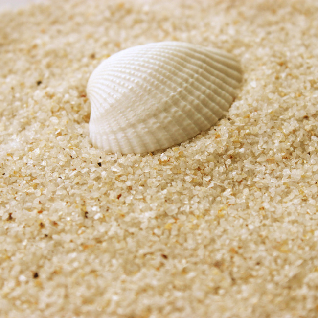 天然水洗细河沙 多肉土介质 铺面水培沙子 鱼缸专用河沙