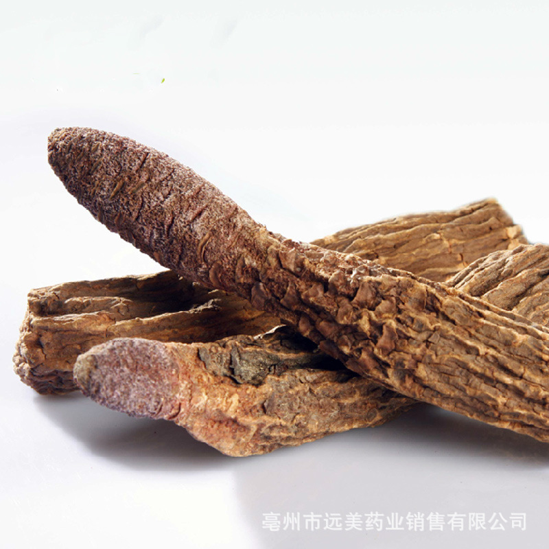 红金锁阳 特产新疆中药材 泡酒料  产地直销底价