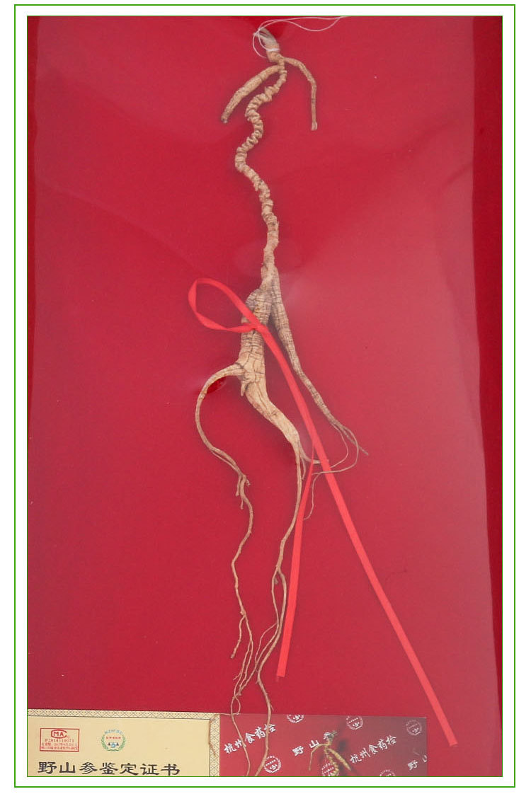 供应东北特产杭州检测-百年野山参 纯正东北野山参 人参礼盒