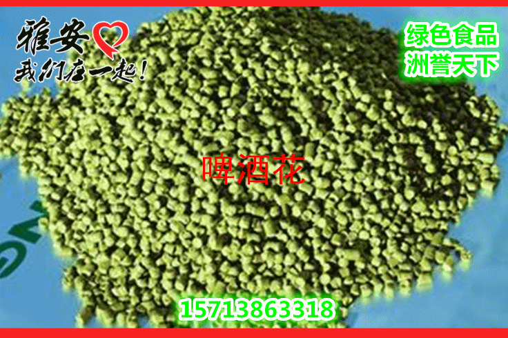 花,拉丁文名:humulus lupulus,是桑科,葎草属一种多年生草本蔓性植物