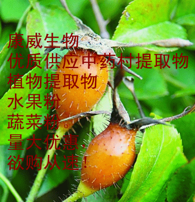 壁纸 矢量 水果 小果 植物 395_409 gif 动态图 动图