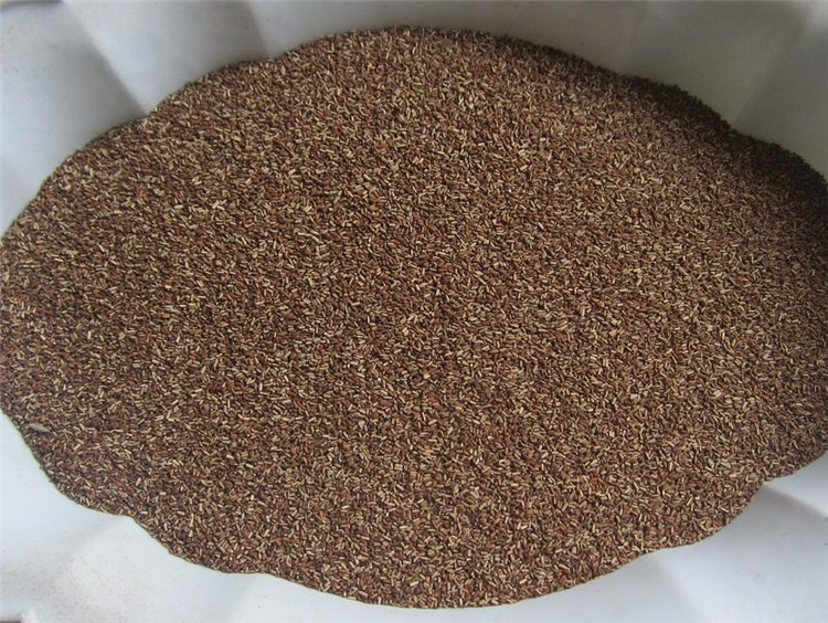 批发优质草本花卉种子 马鞭草种子 园艺观赏芳香花卉 易种植